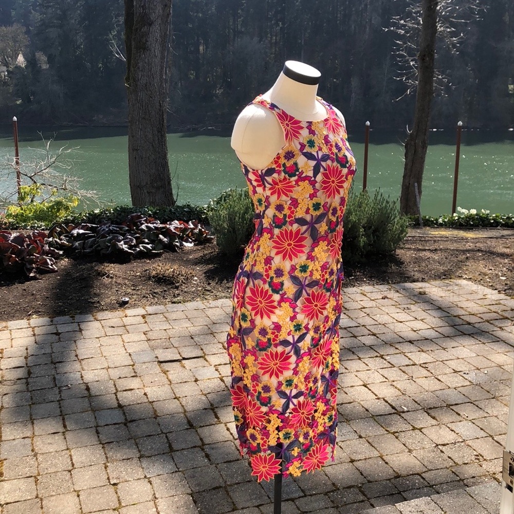 Alexia Admor Lace Illusion Dress - Picture 3 of 8